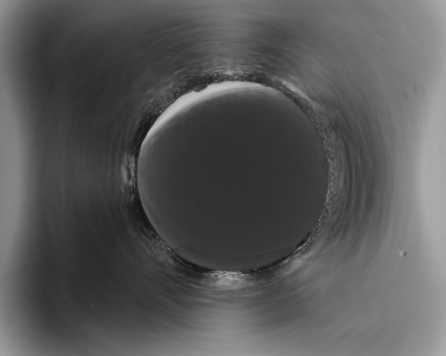 X0000093400528200711091343