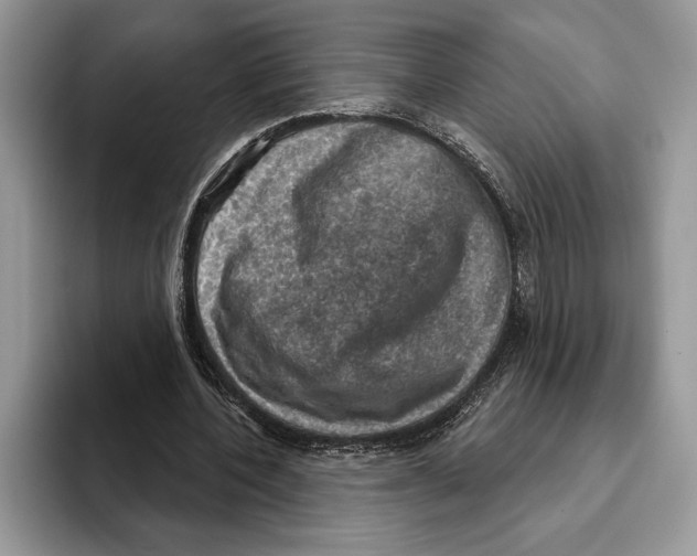 X0000093400532200711091343