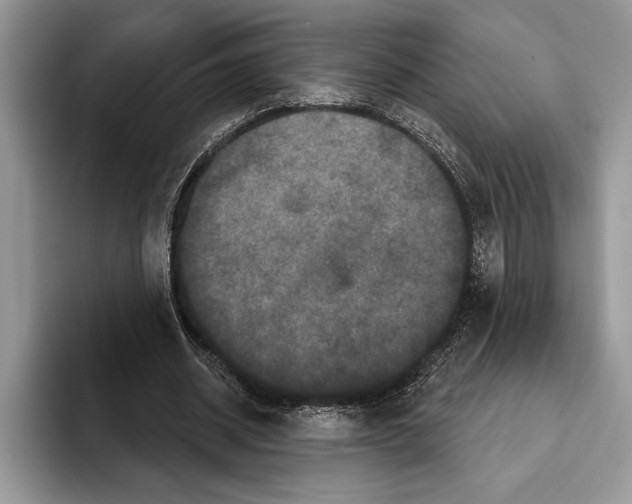 X0000093400534200711091343