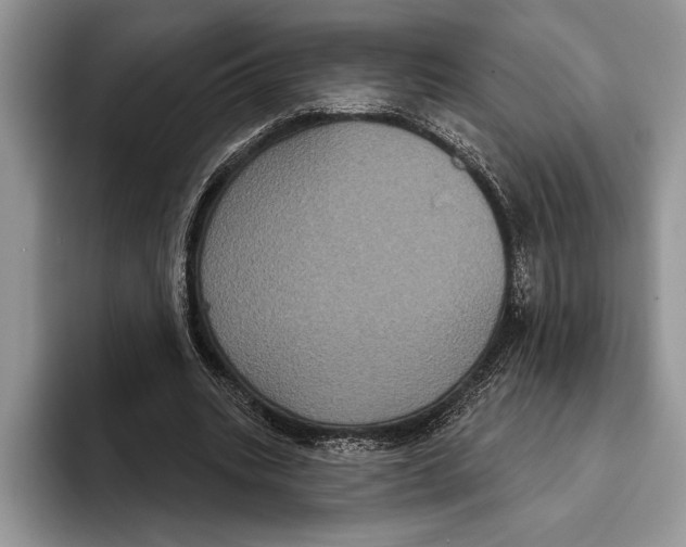 X0000093400535200711091343