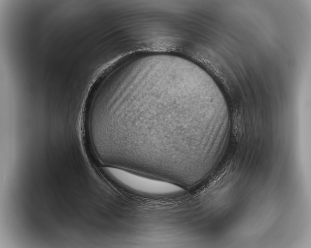 X0000093400536200711091343