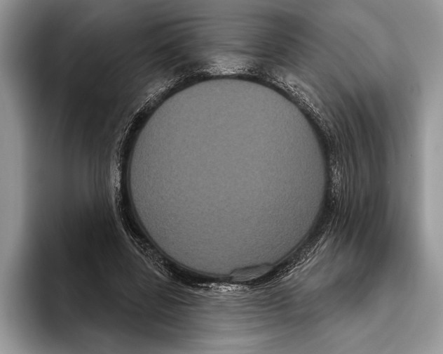 X0000093400539200711091343