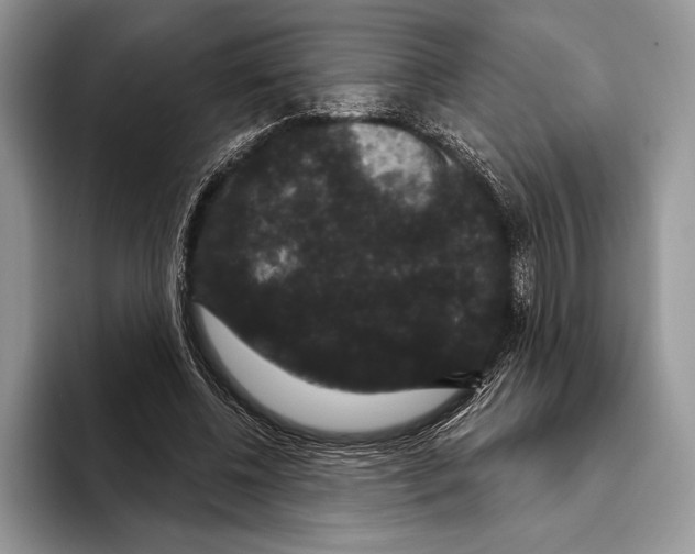 X0000093400540200711091343