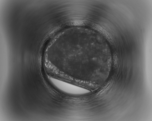 X0000093400542200711091343