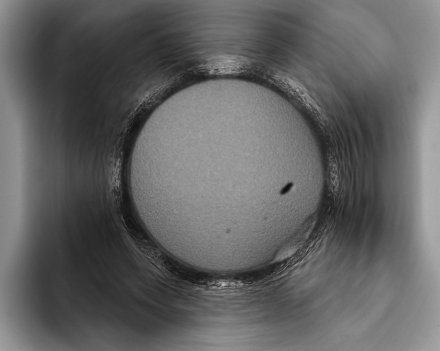 X0000093400543200711091343