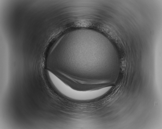 X0000093400544200711091343