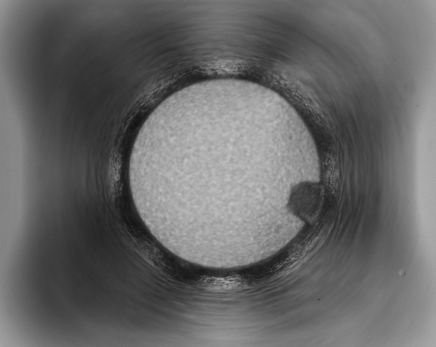 X0000093400548200711091343