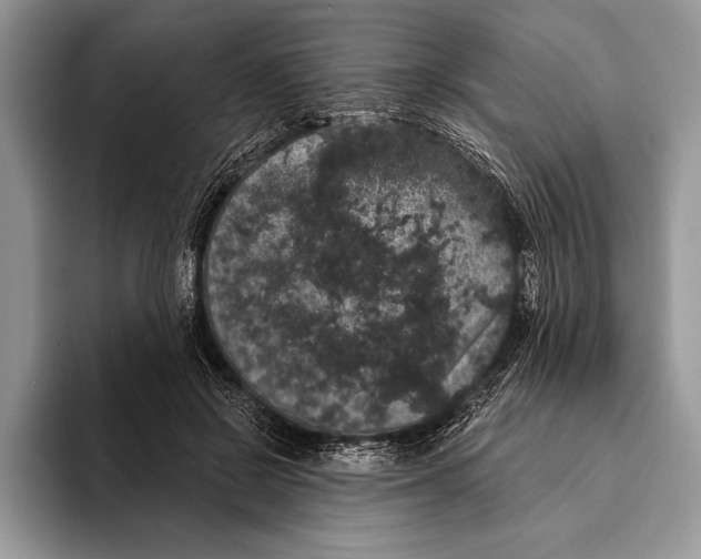 X0000093400550200711091343