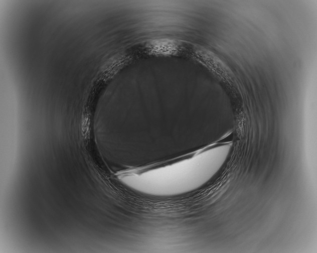 X0000093400551200711091343