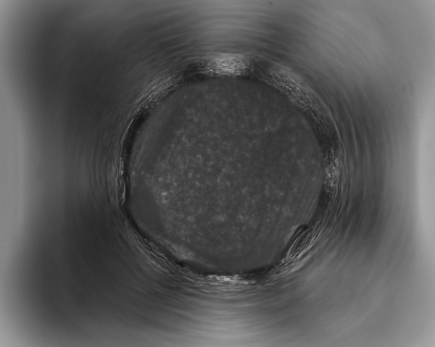 X0000093400552200711091343