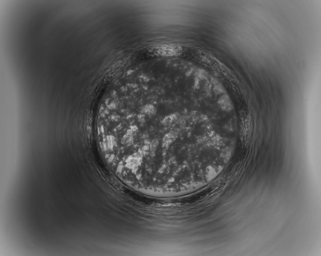 X0000093400553200711091343