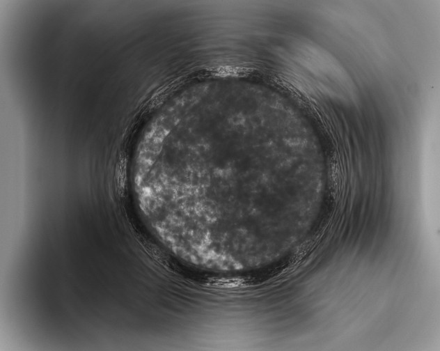 X0000093400554200711091343