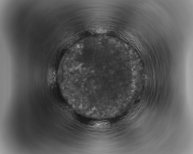 X0000093400555200711091343