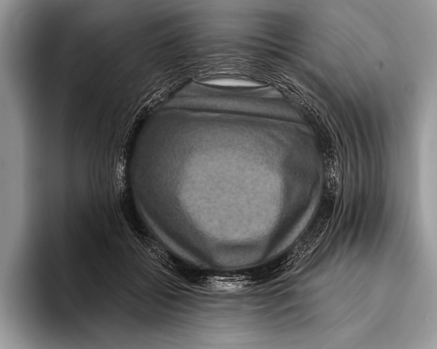 X0000093400556200711091343