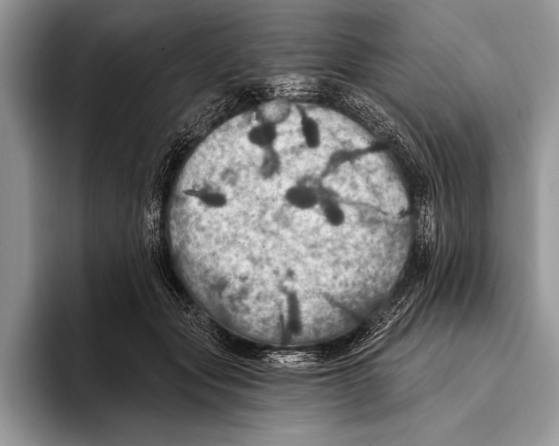 X0000093400557200711091343