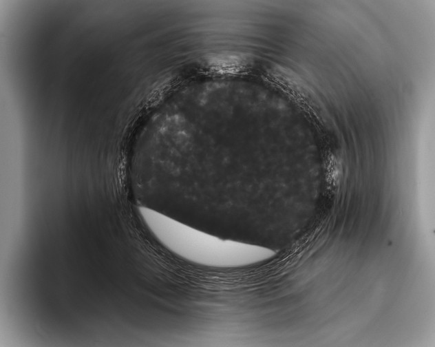 X0000093400559200711091343