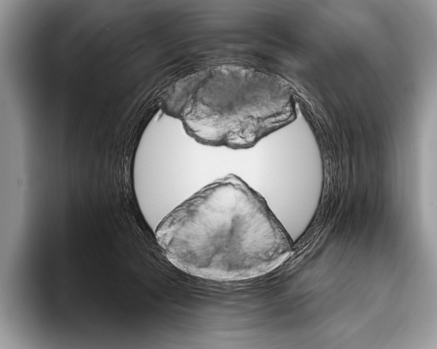 X0000093400561200711091343