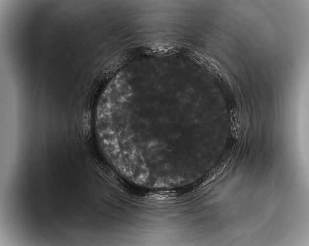 X0000093400563200711091343