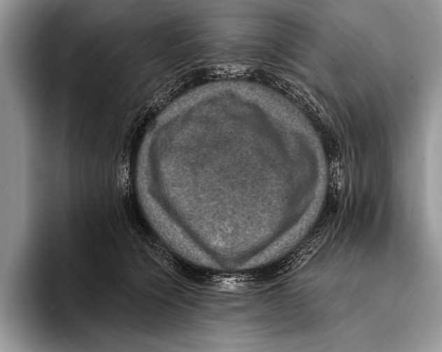 X0000093400564200711091343