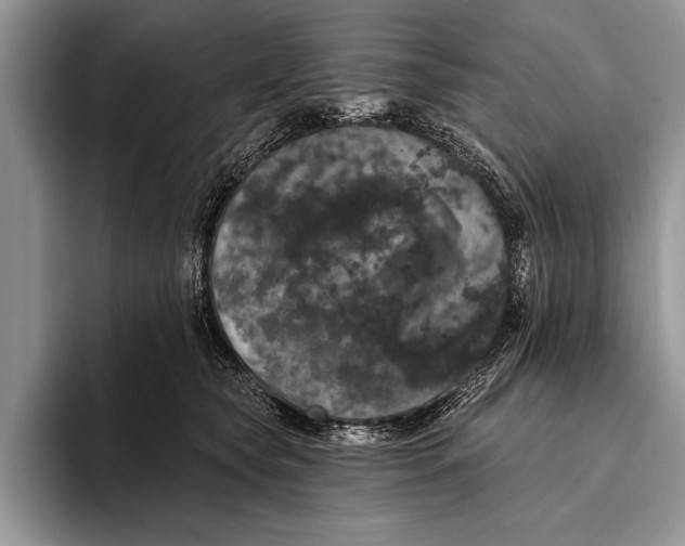 X0000093400565200711091343