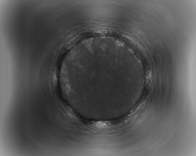 X0000093400566200711091343