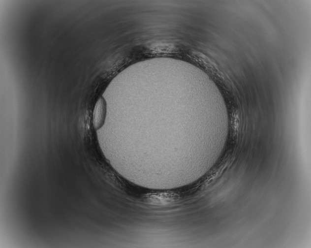 X0000093400567200711091343