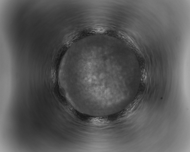 X0000093400568200711091343