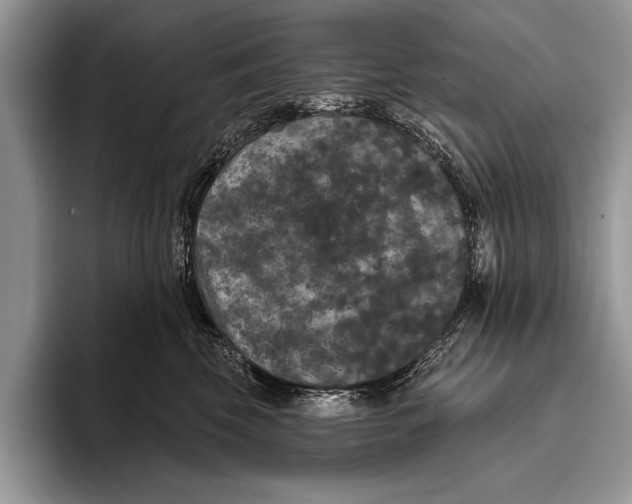 X0000093400569200711091343