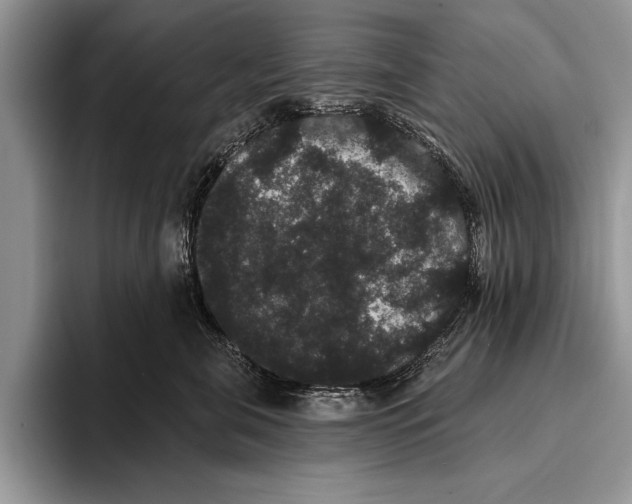 X0000093400571200711091343