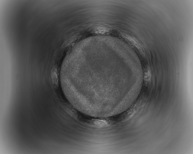 X0000093400572200711091343