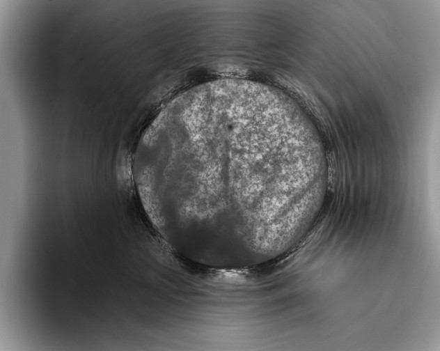 X0000093400573200711091343