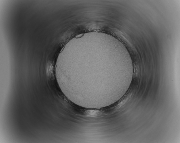 X0000093400575200711091343