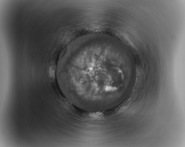 X0000093400576200711091343