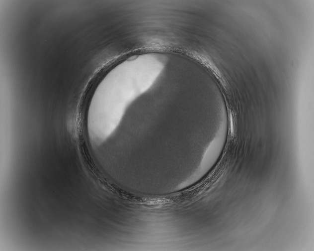 X0000093400579200711091342