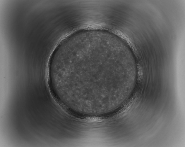 X0000093400582200711091342