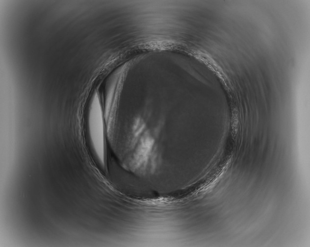 X0000093400585200711091342