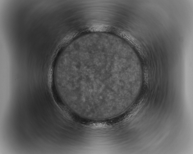 X0000093400586200711091342