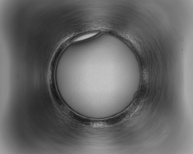 X0000093400587200711091342