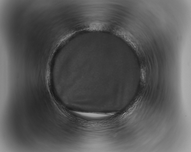 X0000093400588200711091342