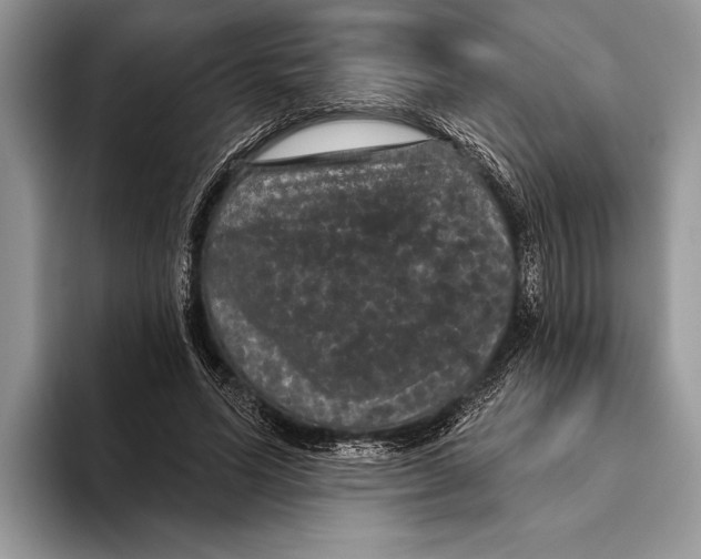 X0000093400591200711091342