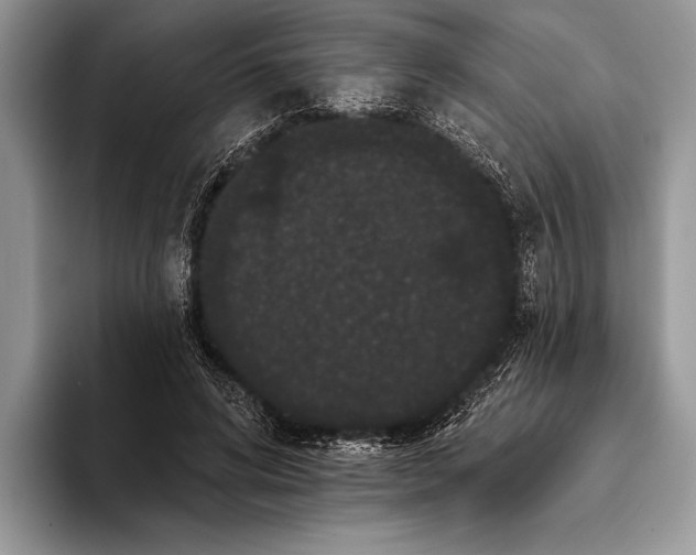 X0000093400592200711091342