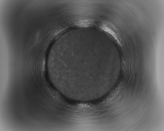 X0000093400596200711091342