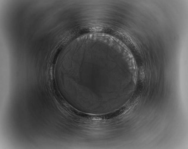 X0000093400598200711091342