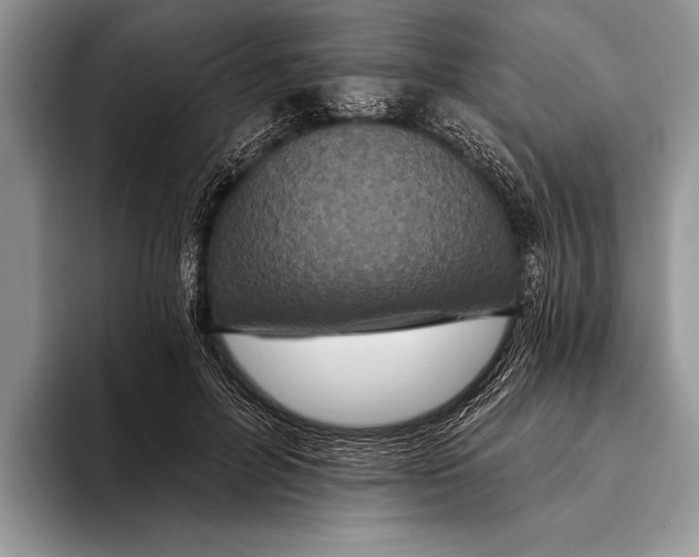 X0000093400600200711091342