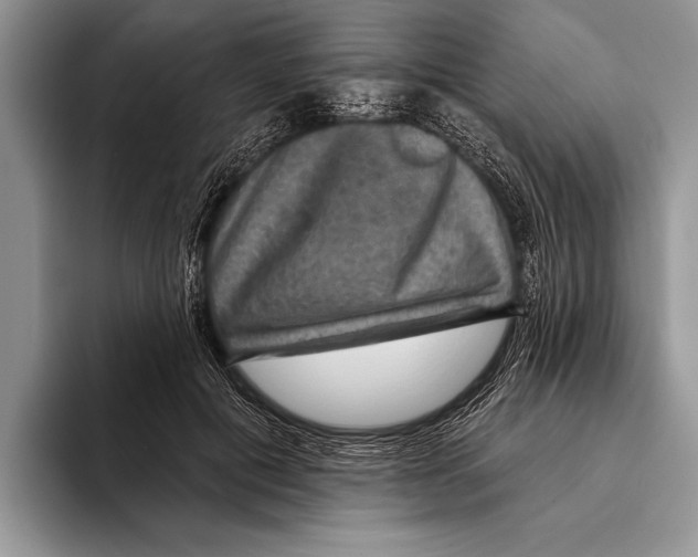 X0000093400601200711091342