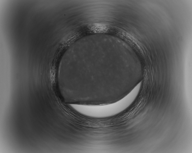 X0000093400604200711091342