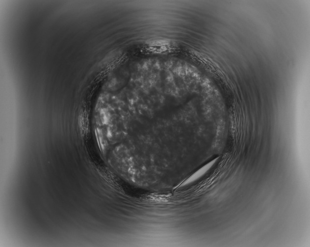 X0000093400606200711091342