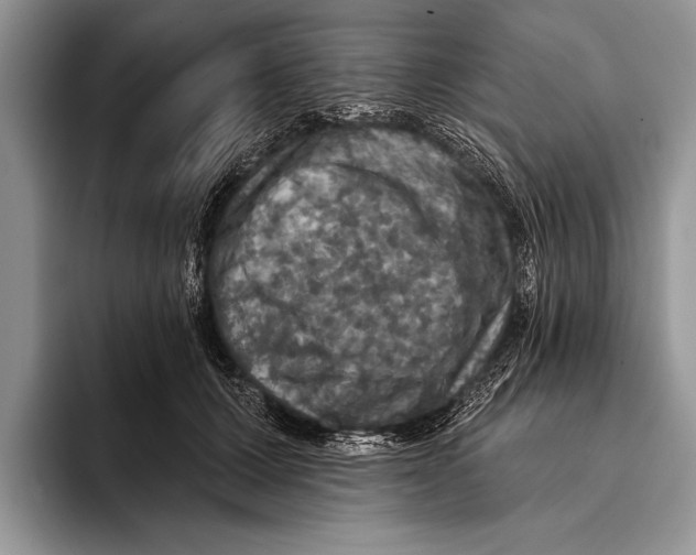 X0000093400607200711091342