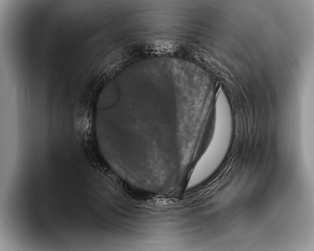 X0000093400608200711091342