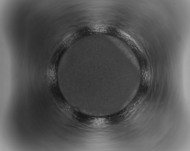 X0000093400609200711091342